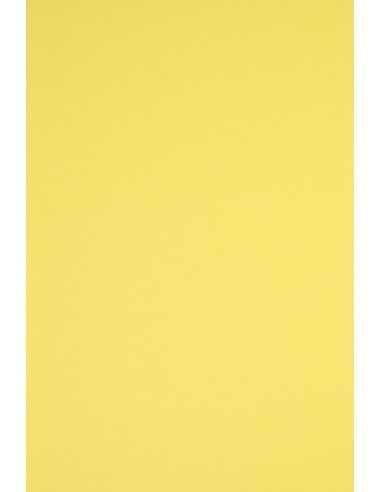 Papier coloré jaune 230g Rainbow - 10 feuilles A3