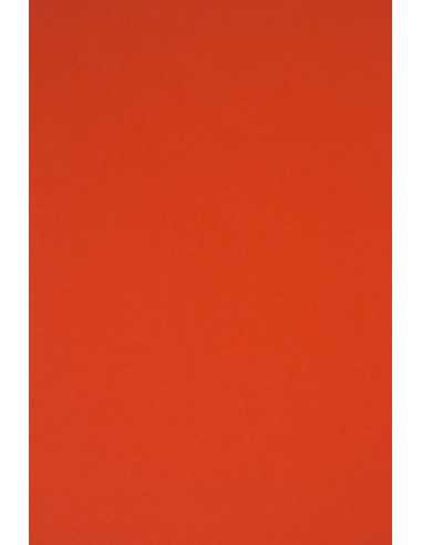 Papier coloré rouge 230g Rainbow - 10 feuilles A3