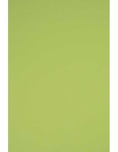 Papier coloré vert clair 230g Rainbow - 10 feuilles A3