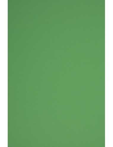 Papier coloré vert foncé 230g Rainbow - 10 feuilles A3