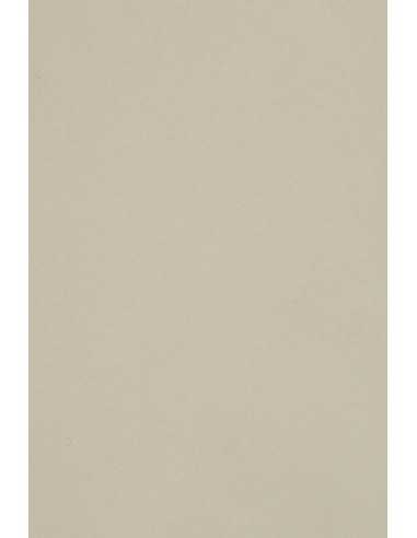 Papier coloré gris clair 250g Burano Grigio - 10 feuilles A3