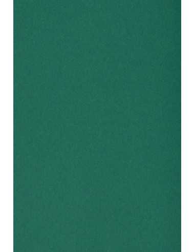 Papier coloré vert foncé 250g Burano English Green - 10 feuilles A3