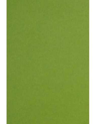 Papier ordinaire décoratif coloré écologique Keaykolour 300g Meadow vert 70x100 R100