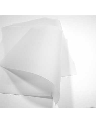 Papier ordinaire décoratif papier calque transparent Golden Star 100g White blanc 70x100 R250