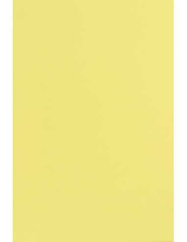 Papier ordinaire décoratif coloré Popset Dry toner 240g CiTrès Yellow jaune em. 10A4