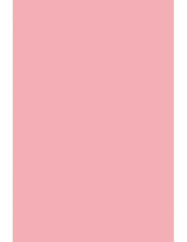 Papier ordinaire décoratif coloré Rainbow 230g R55 rose em. 10A5