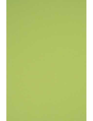 Papier coloré vert clair 230g Rainbow - 10 feuilles A5