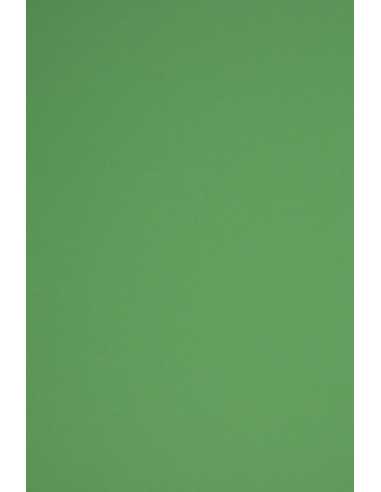 Papier coloré vert foncé 230g Rainbow - 10 feuilles A5