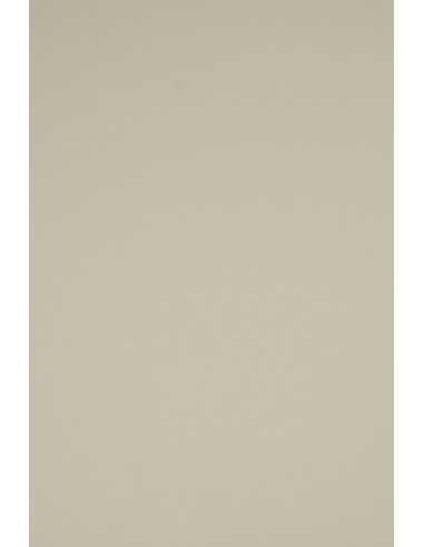 Papier ordinaire décoratif coloré Rainbow 230g R96 gris em. 10A5