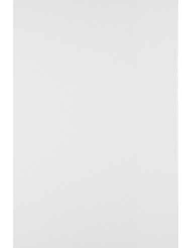 Papier ordinaire décoratif Arcoset 250g White blanc 70x100 R125