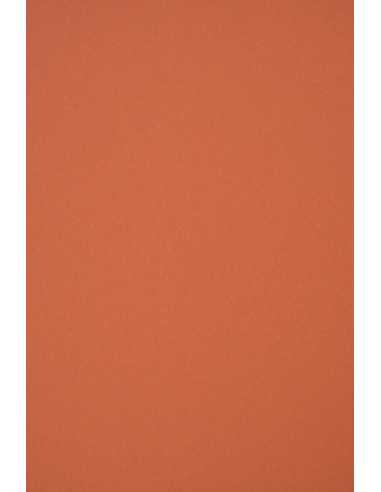 Papier écologique coloré rouge 120g Materica Terra Rossa (72x102cm)