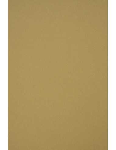 Papier écologique coloré marron clair 250g Materica Kraft (72x102cm)