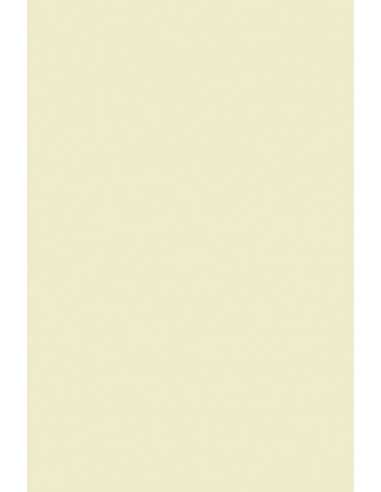 Papier coloré ivoire 140g Plike Ivory - 10 feuilles A4