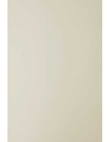 Papier coloré beige 210g Sirio Color Sabbia (70x100cm)