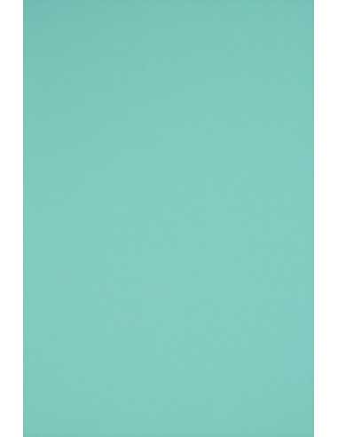 Papier coloré vert de mer 160g Rainbow (92x65cm)