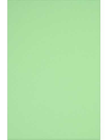 Papier ordinaire décoratif coloré Rainbow 230g R75 menthe em. 10A5