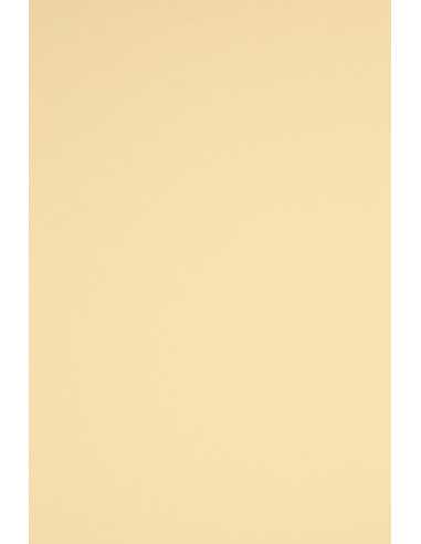 Papier coloré crème 160g Rainbow (45x64cm) - 10 feuilles