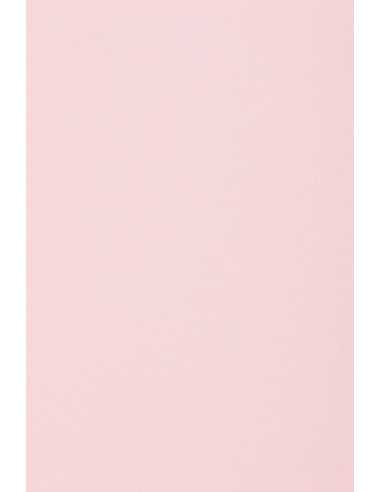 Papier coloré rose clair 160g Rainbow (92x65cm)