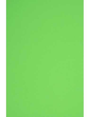 Papier ordinaire décoratif coloré Rainbow 160g R76 vert 45x64 10 feuilles