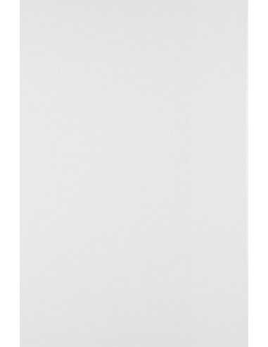 Papier offset Bristol blanc 250g (50x70cm) - 25 feuilles