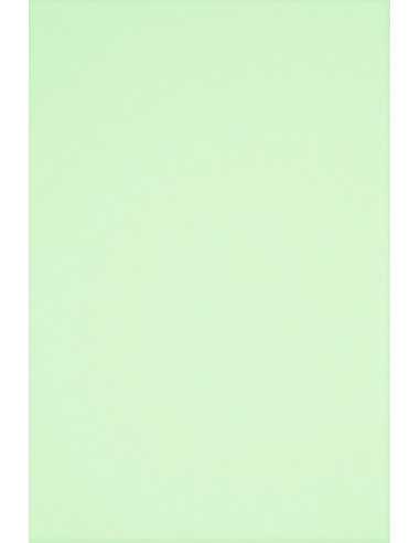 Papier coloré vert pâle 160g Rainbow - 250 feuilles A4