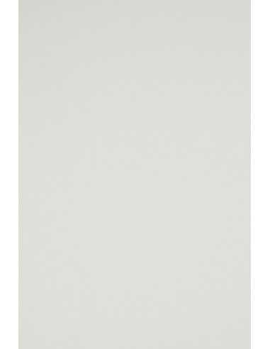 Papier coloré gris clair 160g Rainbow (92x65cm)