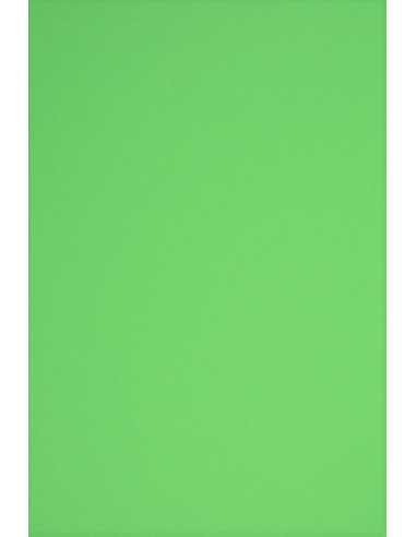 Papier coloré vert 230g Rainbow - 10 feuilles A3