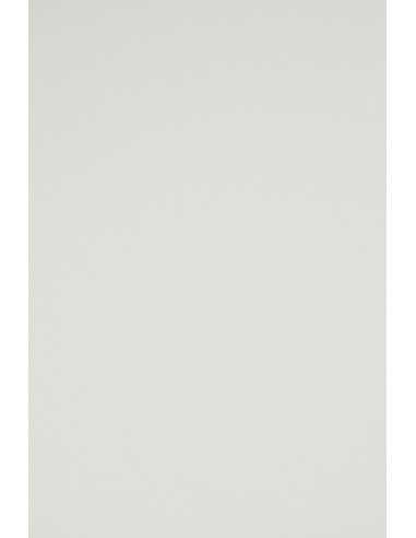 Papier ordinaire décoratif coloré Rainbow 160g R93 lumineux gris em. 250A4