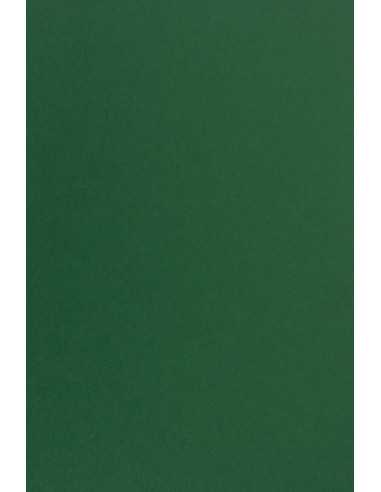 Papier coloré vert foncé 270g Kreative Emerald (70x100cm)