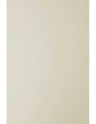 Papier coloré beige 140g Sirio Color Sabbia (70x100cm)