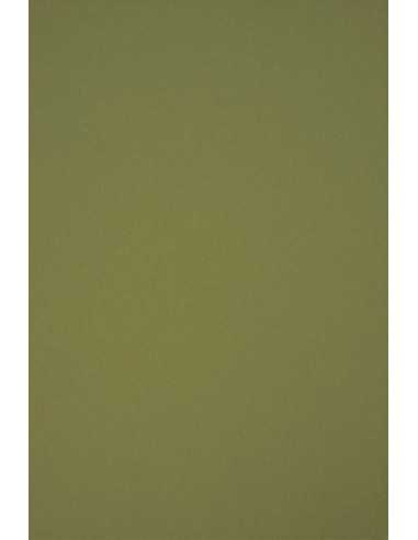 Papier ordinaire décoratif coloré écologique Circolor 160g Rosemary vert em. 250A4