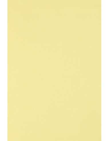 Papier coloré écologique jaune clair 160g Circolor Camomile - 250 feuilles A4