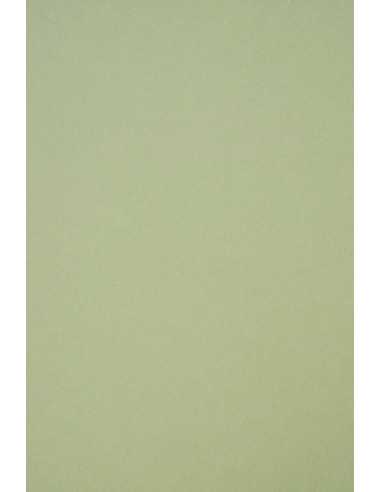 Papier coloré écologique vert clair 250g Crush Kiwi - 50 feuilles A4