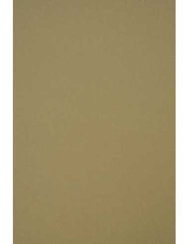 Papier coloré écologique vert 250g Crush Olive - 10 feuilles A4