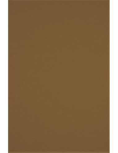 Papier coloré écologique marron 250g Crush Hazelnut - 50 feuilles A4