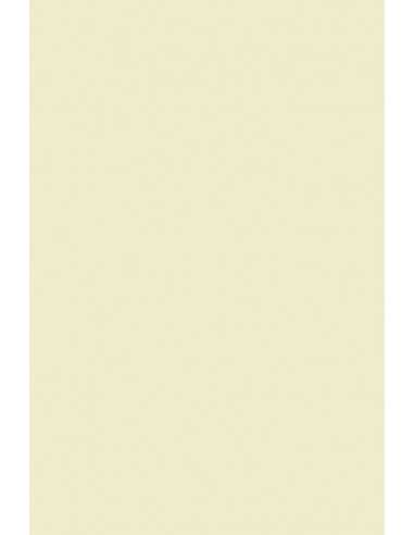 Papier ordinaire décoratif Olin 240g Regular Soft Cream écru 72x102 R100