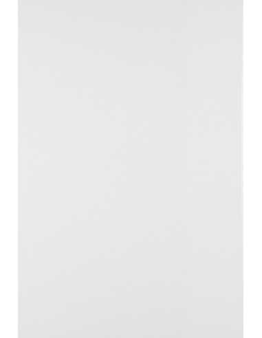 Papier ordinaire décoratif Bristol blanc 250g 50A3