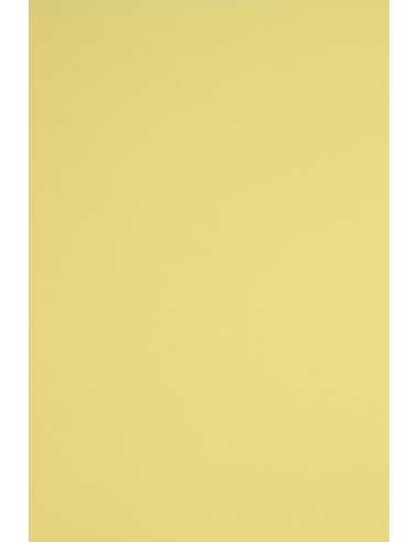 Papier ordinaire décoratif coloré Rainbow 160g R14 jaune soleil 92x65 R125