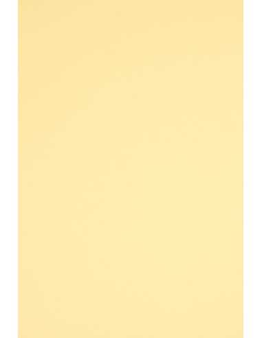 Paquet de papier ordinaire Rainbow 160g R06 Ivory. 10A3