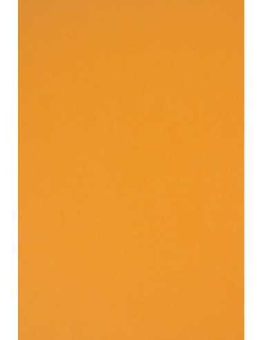 Papier coloré orange clair 160g Rainbow (92x65cm)