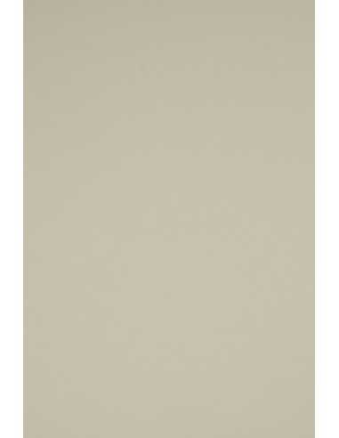 Papier couleur Rainbow 160g R93 gris clair 45x64 10pcs.