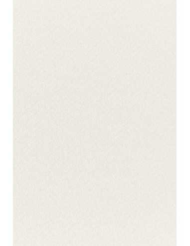 Tintoretto Neve papier décoratif texturé écru 300g 72x101cm R100