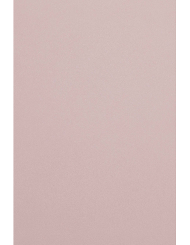 Papier décoratif de couleur unie Malmero Rose Antique 300g rose poudré em. 10A4