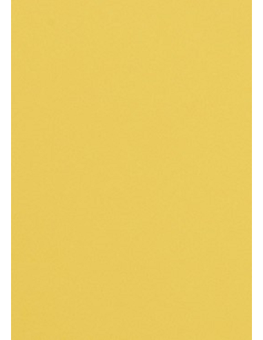 Papier décoratif de couleur unie Malmero Soleil 300g jaune 70x100 R100