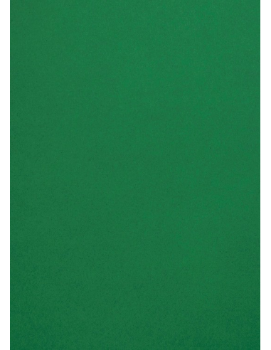 Papier décoratif de couleur unie Malmero Amazone 120g vert foncé 70x100 R250