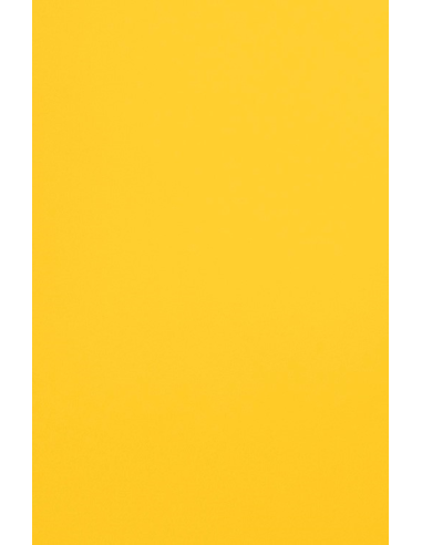 Papier décoratif de couleur unie Malmero Mangue 120g orange vif 70x100 R250