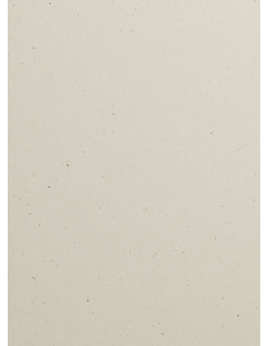 Papier écologique décoratif uni et coloré avec inclusions Flora 240g Noce beige 72x102 R125