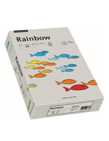 Papier coloré gris 160g Rainbow - 250 feuilles A4