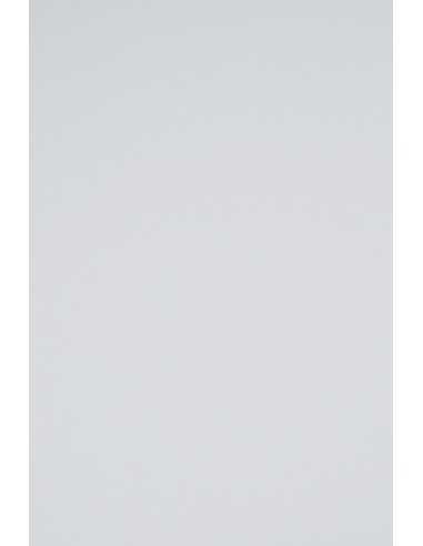 Papier coloré gris 230g Rainbow - 10 feuilles A3